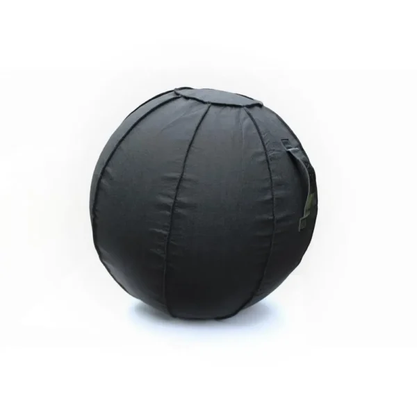 Active Anti-Microbial Balance Ball