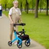 Mobility-Walker